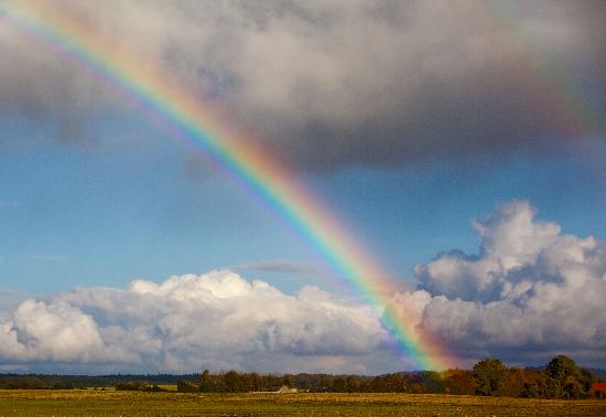 Regenbogen über Herbstlandschaft from Patrick Pleul