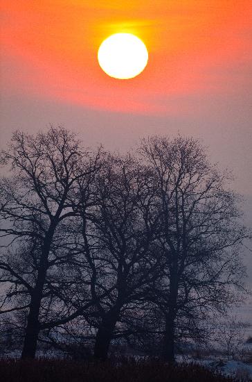 Sonnenaufgang an der Oder from Patrick Pleul