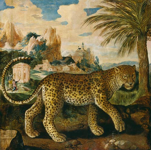 A leopard. from Paul de Vos