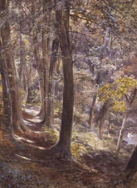 A Woodland Glade from Paul Jacob Naftel