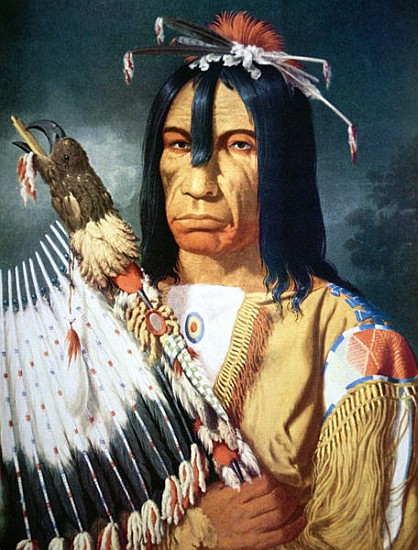 Native American Chief of the Cree people of Canada from Paul Kane