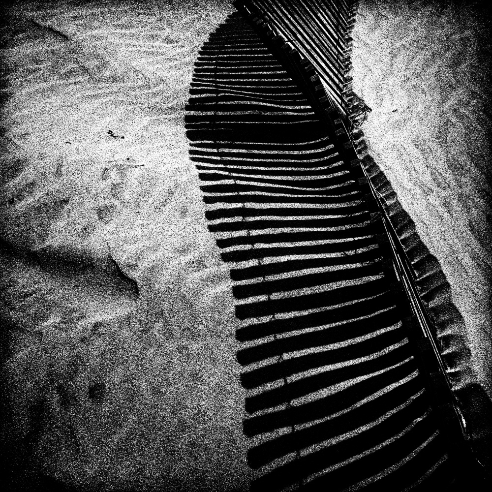 Black Summer from Paulo Abrantes