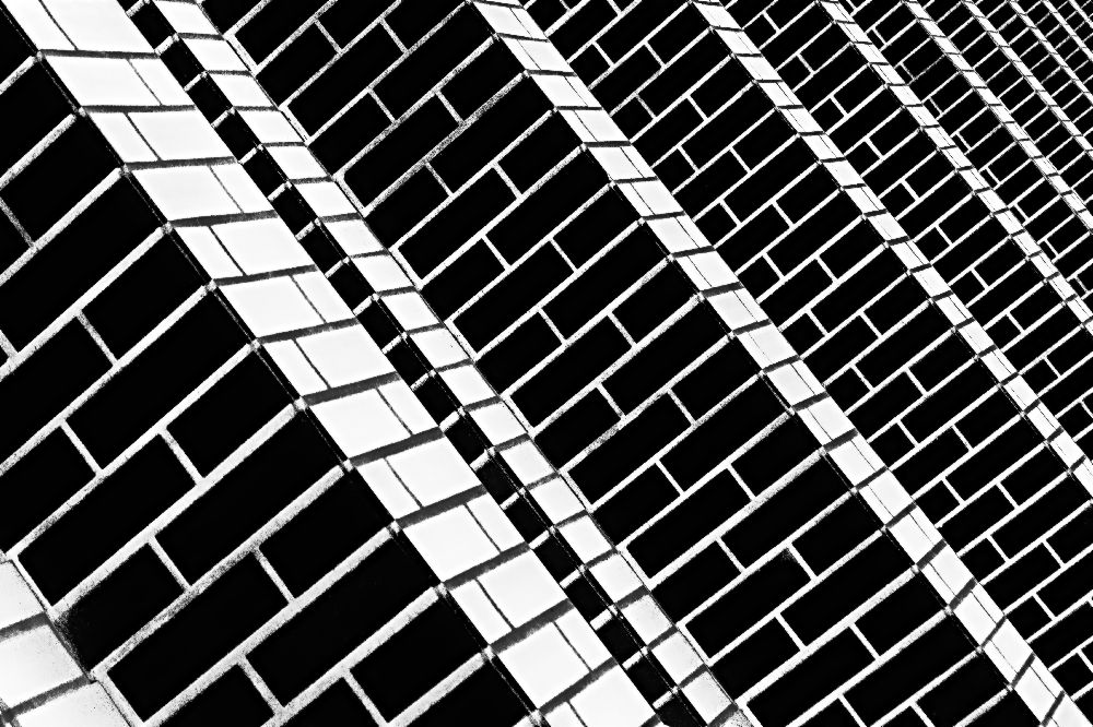 Over the Garden Wall from Paulo Abrantes