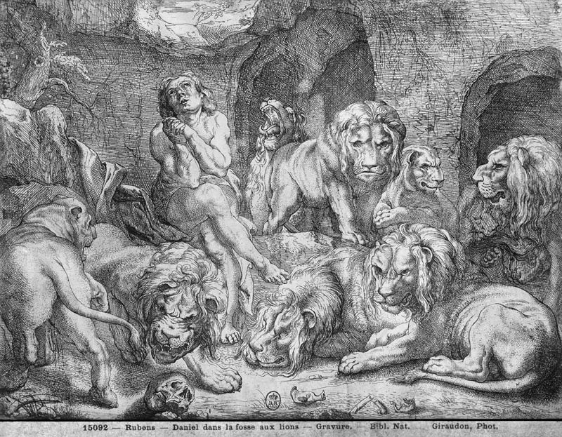 Daniel in the lions'' den from Peter Paul Rubens