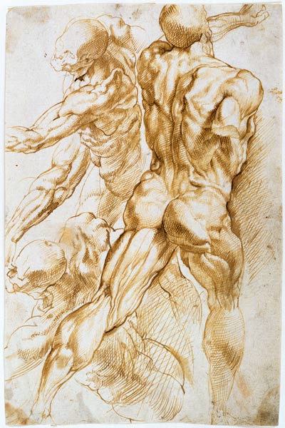 Anatomische Studie: Kämpfende Akte. from Peter Paul Rubens