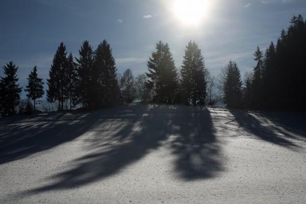 Bäume mit Schatten in Winterlandschaft from Peter Wienerroither