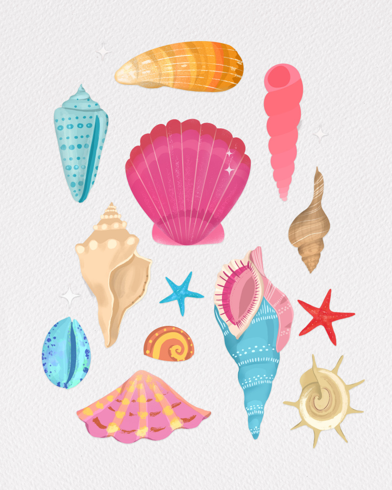 Seashells from Petra Lizde