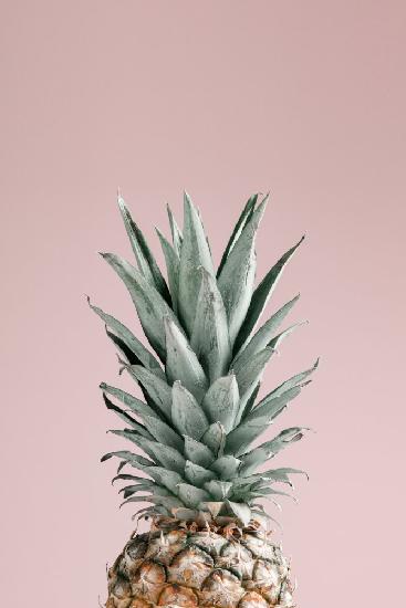 Pineapple Pink 01