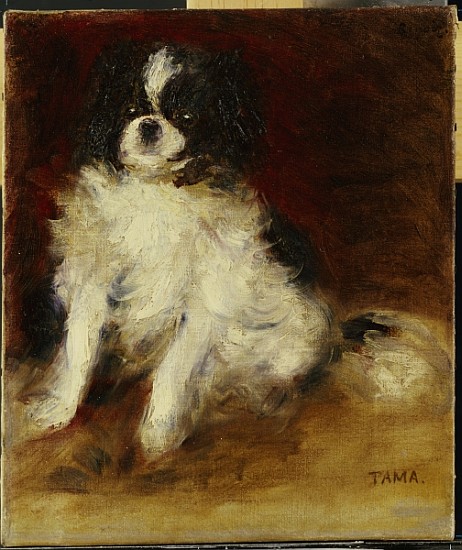 Tama from Pierre-Auguste Renoir