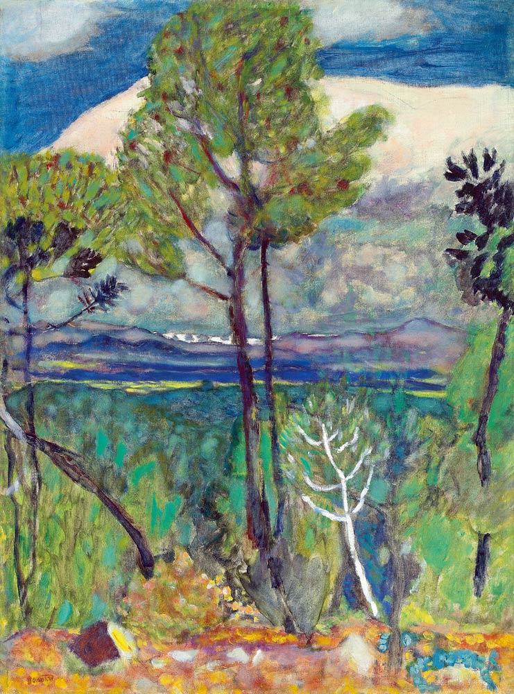 Landscape from Pierre Bonnard