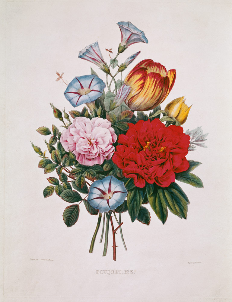Bouquet N ° 3 with tulip, pink, winches and peony from Pierre Joseph Redouté
