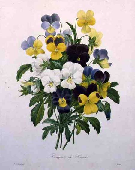 Bouquet of Pansies, engraved by Victor, from 'Choix des Plus Belles Fleurs' from Pierre Joseph Redouté