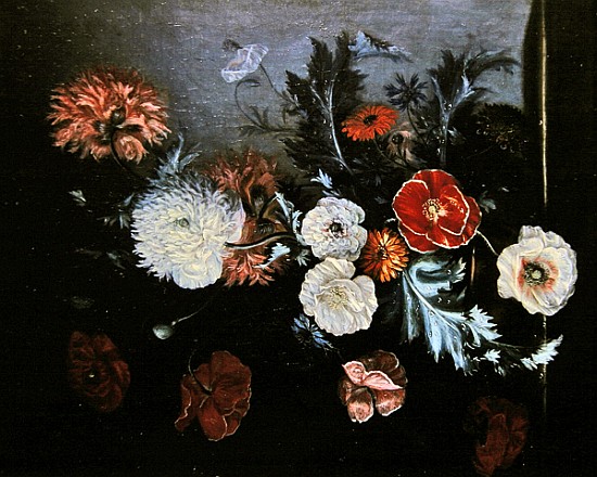 Bouquet of flowers from Pierre Labatie