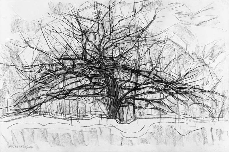 Study for The Grey Tree from Piet Mondrian
