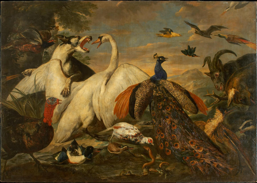 Fighting Animals as Allegory of the Combat between Virtue and Vice from Pieter Boel