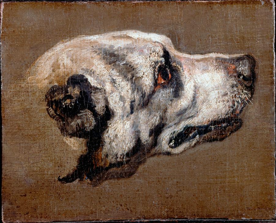 Kopf eines Hundes from Pieter Boel