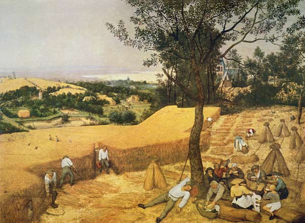 Cycle of the monthly pictures, the grain harvest month (of July) from Pieter Brueghel the Elder