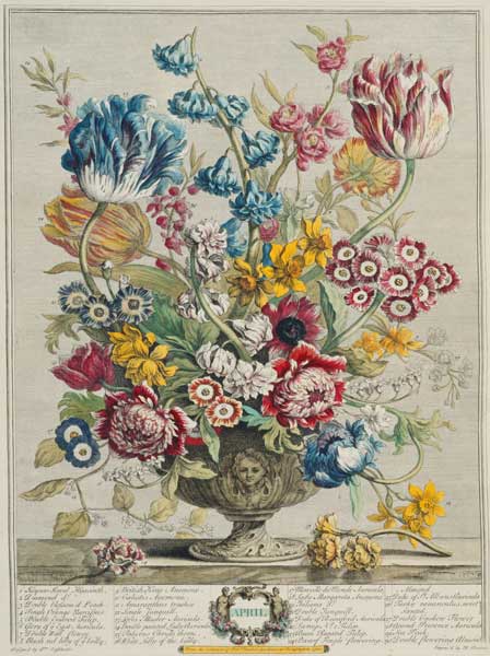 April, from 'Twelve Months of Flowers', by Robert Furber (c.1674-1756), engraved by Henry Fletcher ( from Pieter Casteels