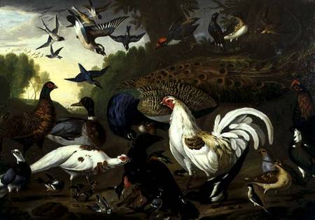 The Fable of the Raven with a Peacock, Cockerel, Woodpecker, Jay, Woodcock, and Magpie from Pieter Casteels