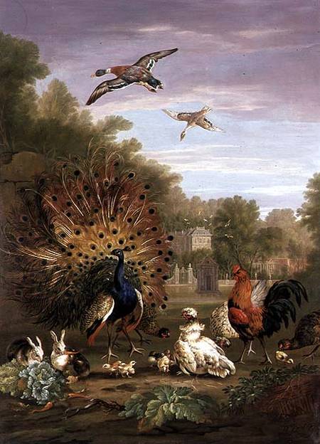 Peacock and Rabbits in a Landscape from Pieter Casteels