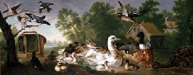 Ducks and Birds in a landscape