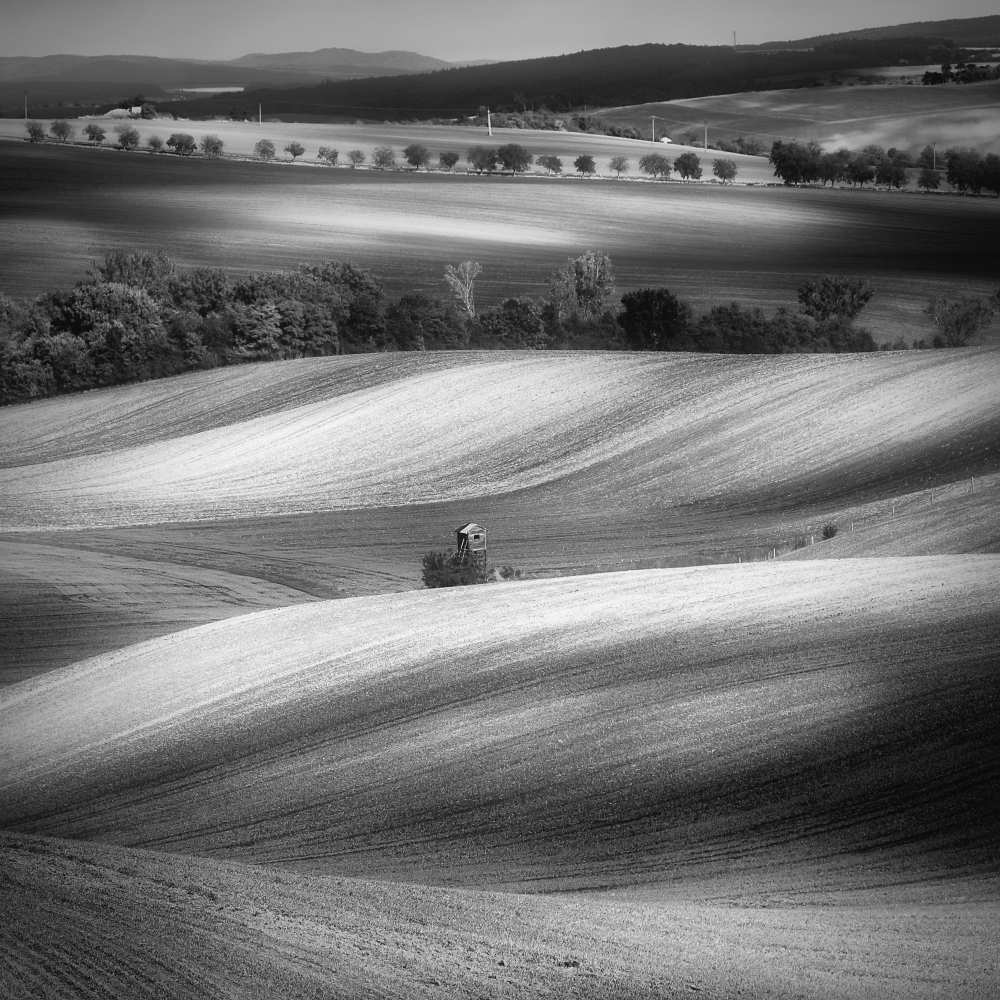 Moravian fields from Piotr Krol (Bax)