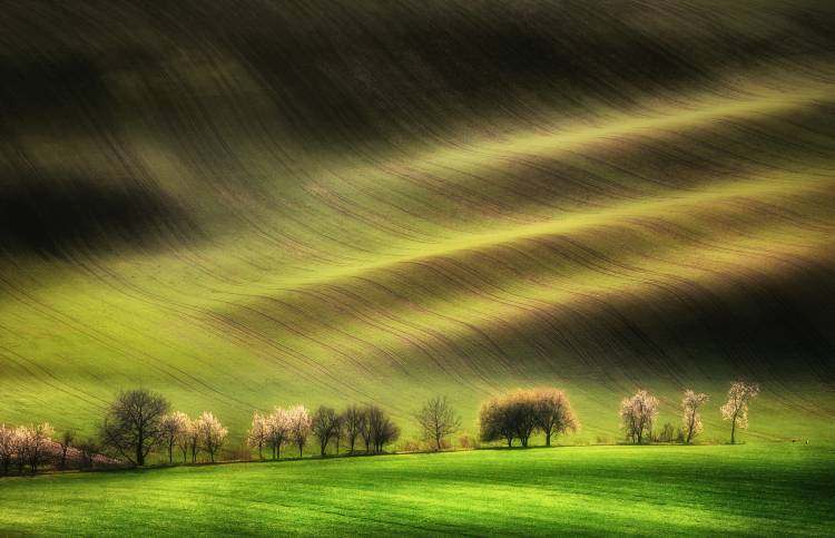 Moravian Fields from Piotr Krol (Bax)