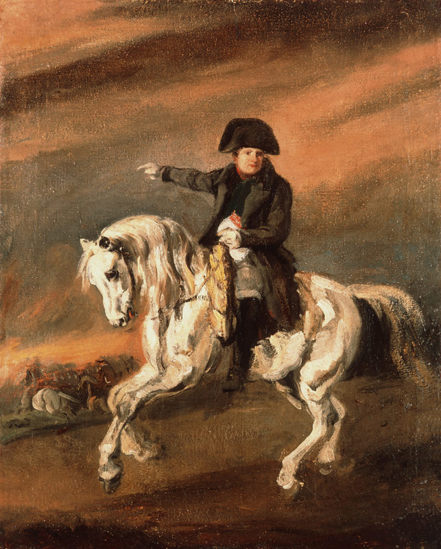 Napoleon to horse from Piotr Michalowski