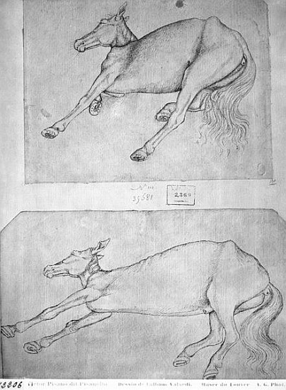 Dead horses, from the The Vallardi Album from Pisanello