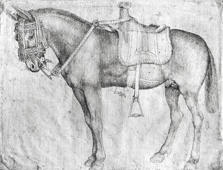 Mule from Pisanello