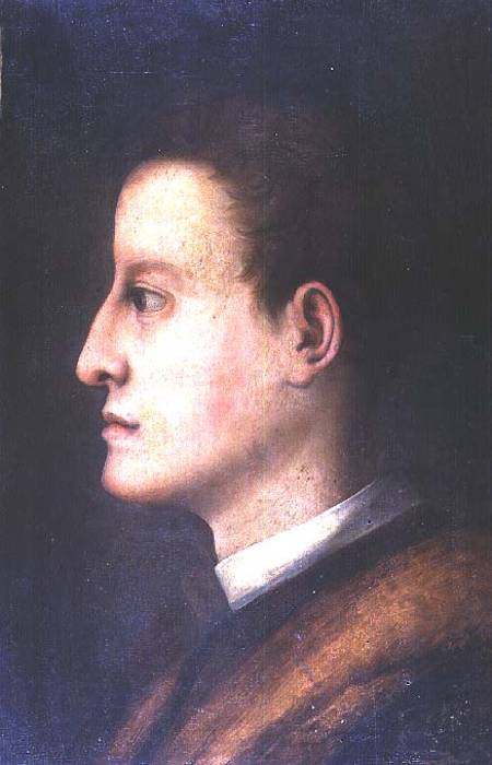 Cosimo de' Medici I (1519-74): as a young man from Jacopo Pontormo,Jacopo Carucci da