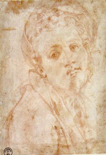 Self Portrait from Jacopo Pontormo,Jacopo Carucci da