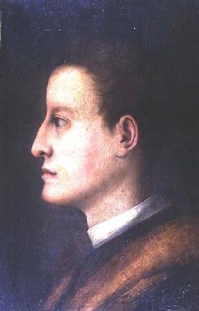 Cosimo de' Medici I (1519-74): as a young man