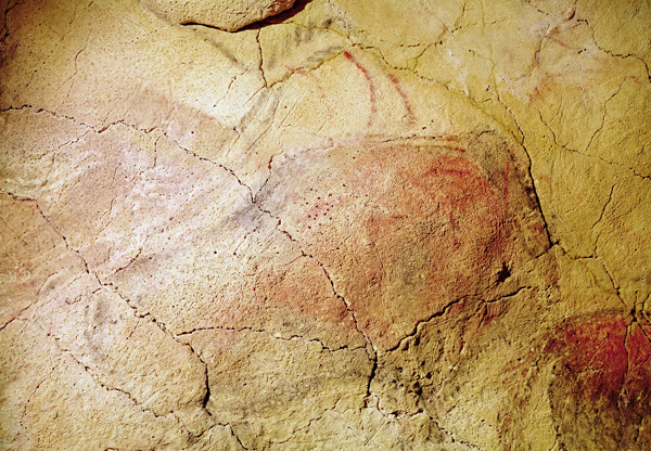 Bison, from the Caves at Altamira from Prehistoric