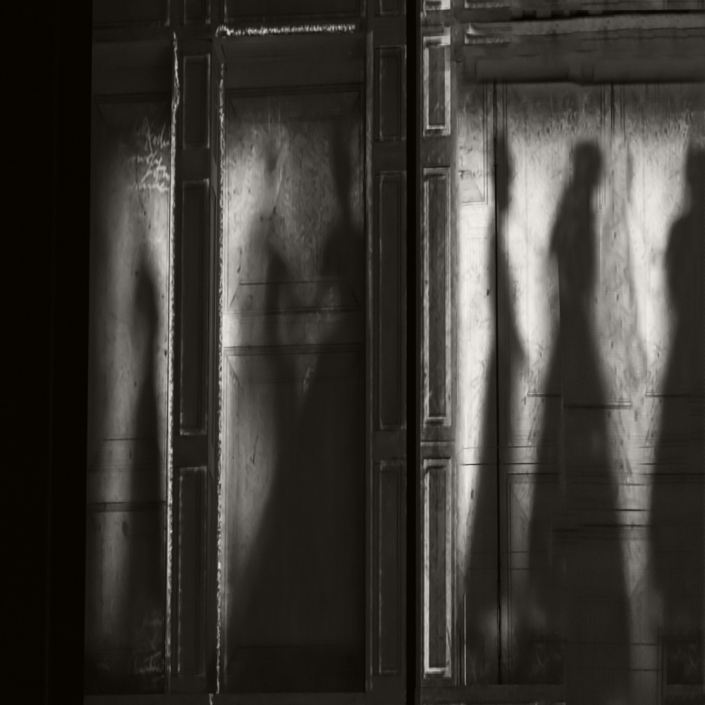 shadows from Rachel Pansky