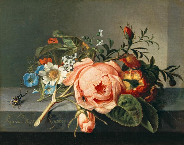Rose branch with beetle and bee from Rachel Ruysch