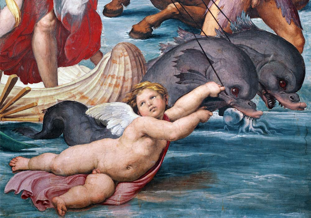 Galatea, detail of putto and dolphins from Raffaello Sanzio da Urbino