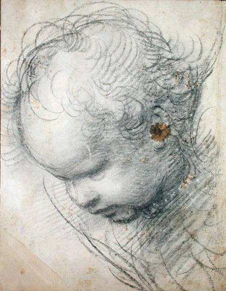 Head of a Cherub from Raffaello Sanzio da Urbino