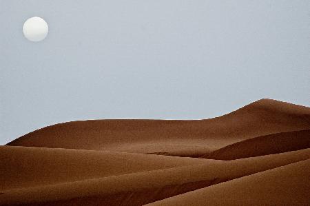 Sahara_1