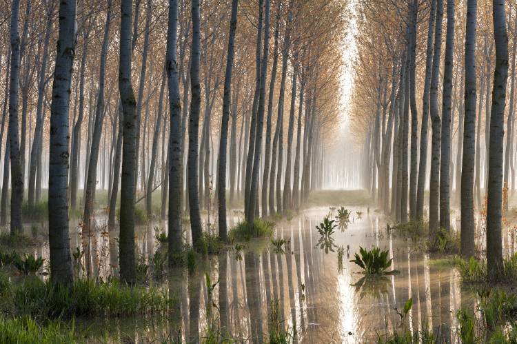 Rains of Spring from Raffaele Spettoli
