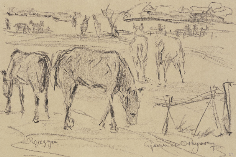 Weidende Pferde in Rzeczyca, Russisch-Polen from Reinhard Pfaehler von Othegraven