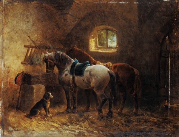 Horses in the stable