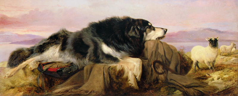 The Shepherd's Dog from Richard Ansdell