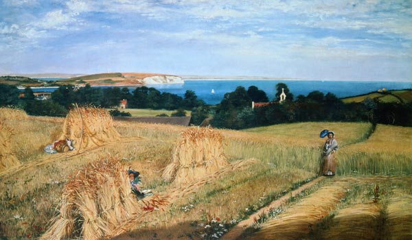 Corn Field in the Isle of Wight from Richard Burchett