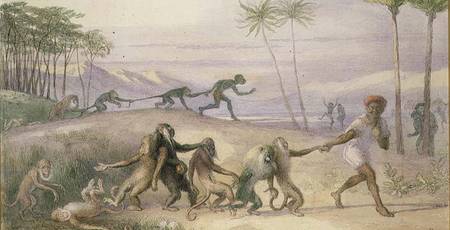 The Manners and Customs of Monkeys from Richard Doyle
