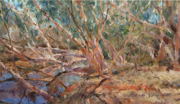 Dead Leaves Living it up in the Pilbara from ROBERT BOOTH CHARLES ROBERT BOOTH CHARLES