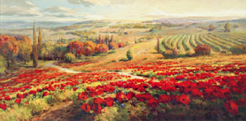 Red Poppy Panorama from Robert Lombardi