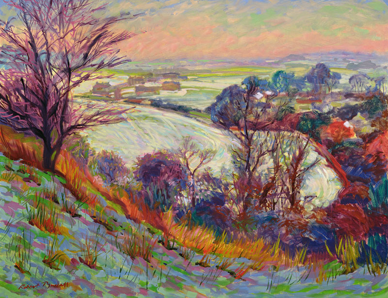 The Downs in Winter  from Robert  Tyndall