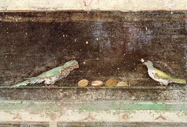 Birds eating nuts, detail from a tablinium decorated with Egyptian-style paintings from Roman