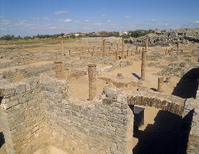 View of the ruins (photo) 